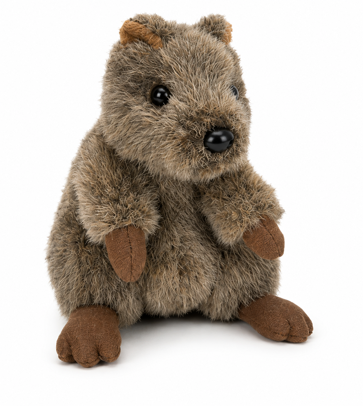 Classic Quokka Plush Buddy 18-25cm